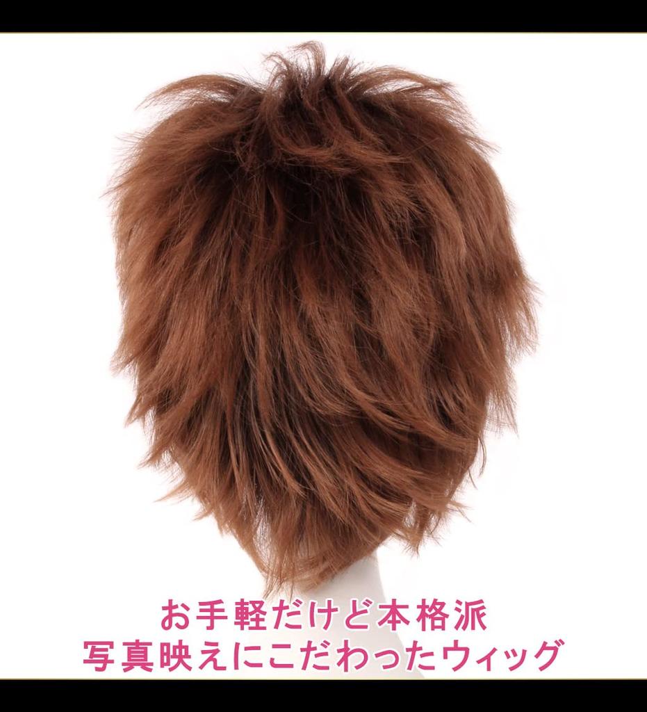 CaseEden Cosplay Premium Smooth Short 30cm Brown WIG5551 Wig, Hair,