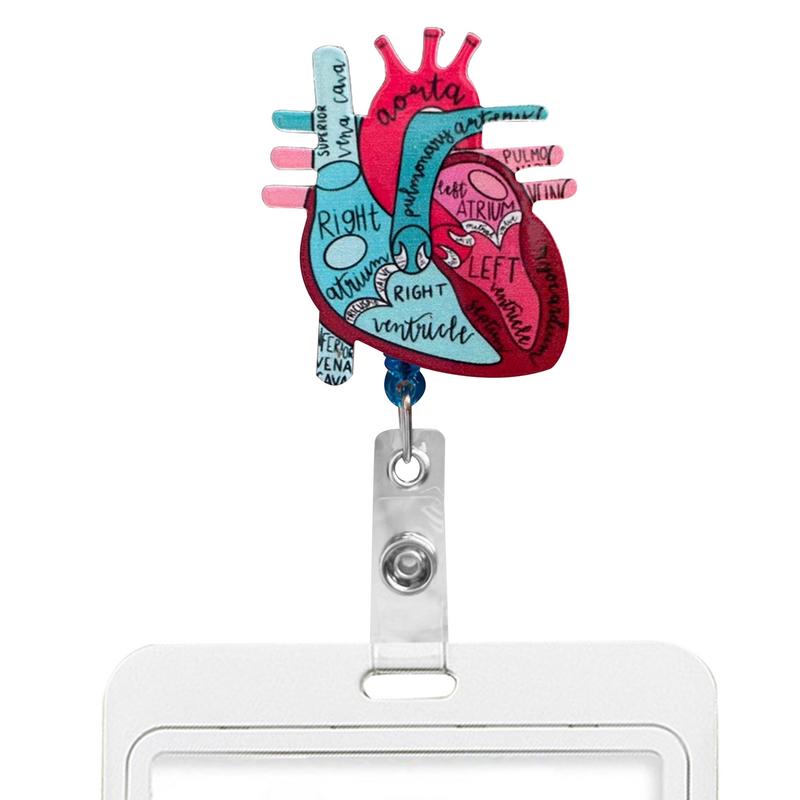 Cardiac Nurse Card Holder Card Clip For Name Display Heart Anatomy Nursing Phlebotomy ID Clip For Teacher Student RN Nurse China Mainland