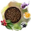 Kawa ziarnista cafeiere arabica kenia aa, 500 g