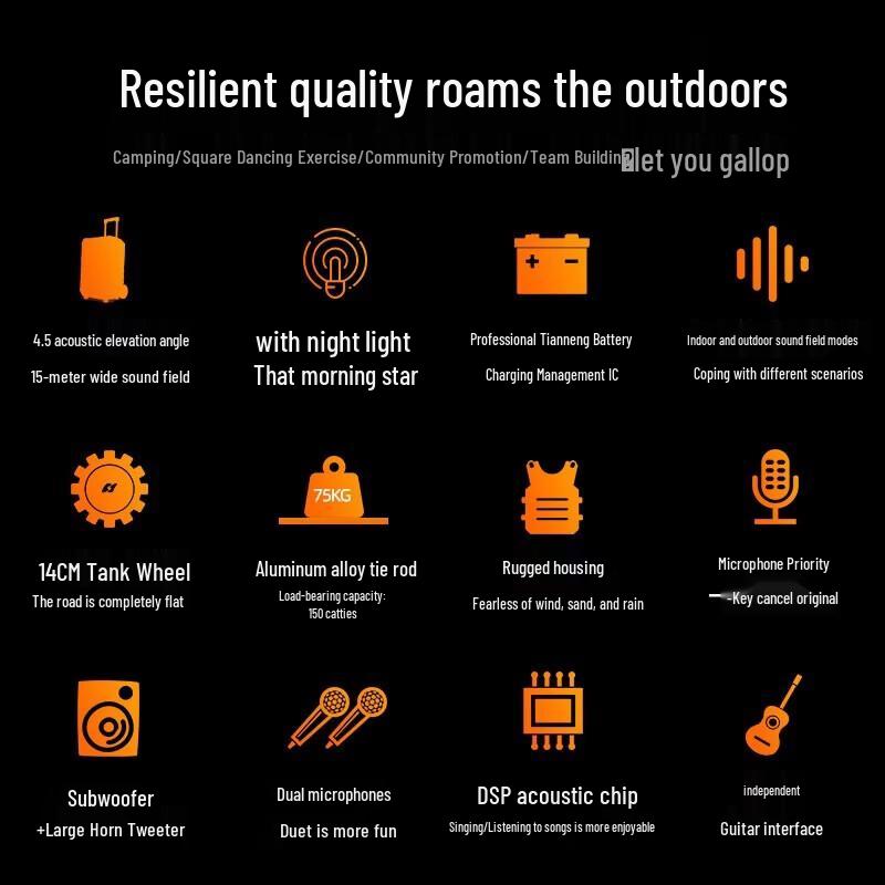 SANSUI D15 15-inch Outdoor Trolley Speaker with Wireless Mic CN plug (adapter included)