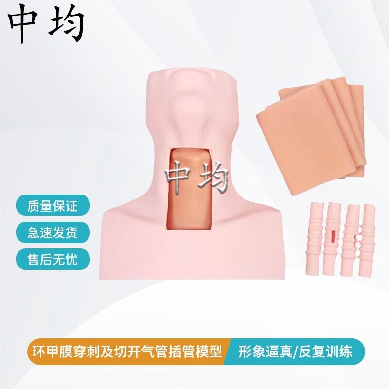 Cricothyroid Puncture and Tracheotomy Training Model