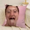 Funny Meme Music D-Daniel Larson 2 Pillow Case Natural Linen Double-Sided Printing Sofa Home Decor Cushion Cover