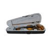 IRIN 4/4 Electric Smart Electroacoustic Violin with EQ Acoustic Silent Violin AV-E07 Maple Panel Violin for Performance