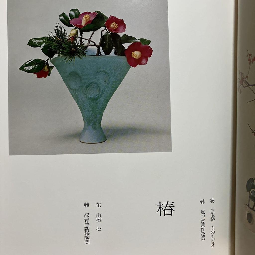 [POUŽITÉ] Ryuseiha Květiny jara Fotokolekce