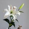 Two Lily Simulation Flower Set Living Room Dining Table Decoration False Flower Art Wedding Travel Photography Props