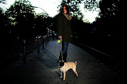 Flexi New Neon Cord Medium (Under 20kg), 5m [Dog Lead]