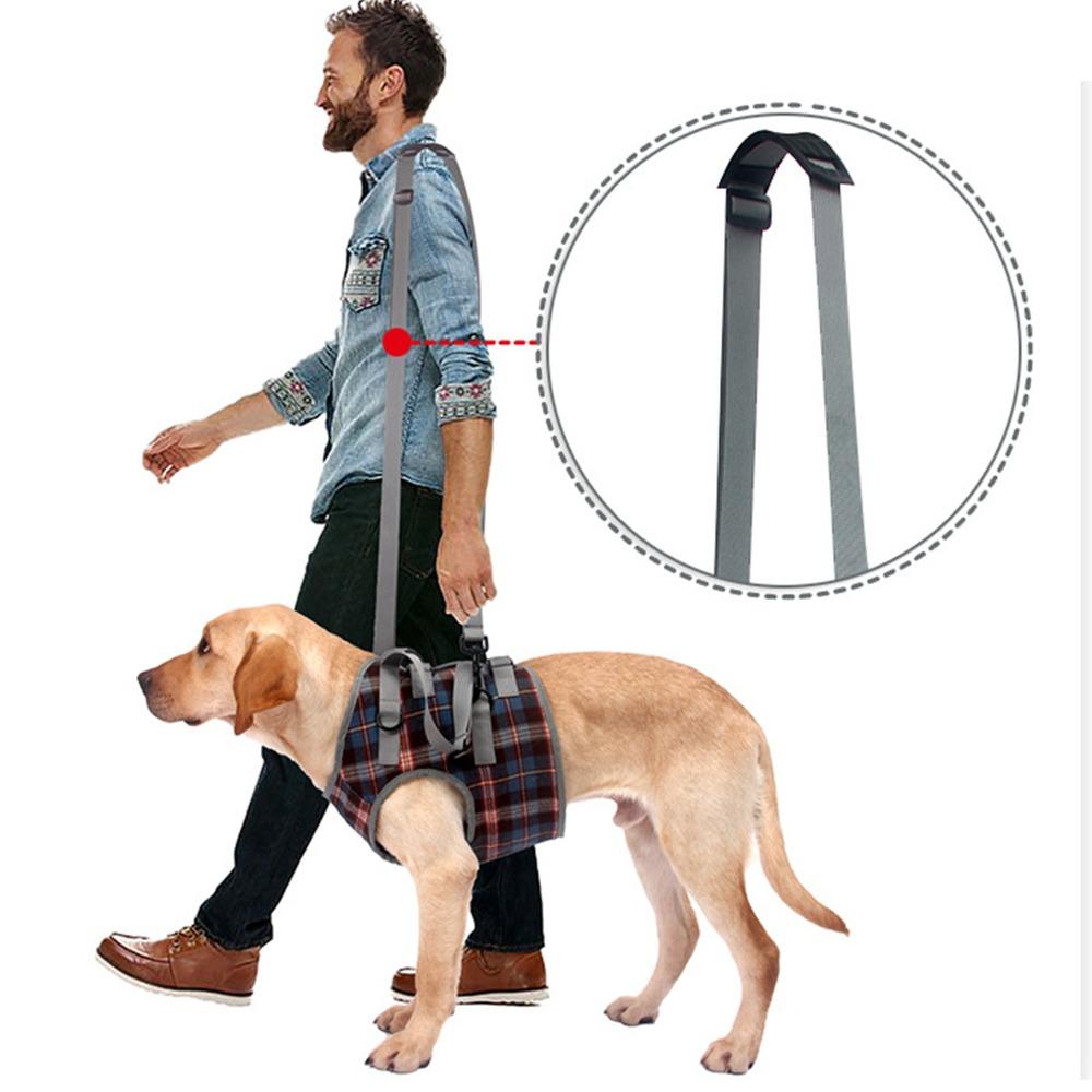 Soft Fabric Dog Leg Support Harness Multi Sizes Disabled Dog Mobility Strap Arthritic Old Dog Walk