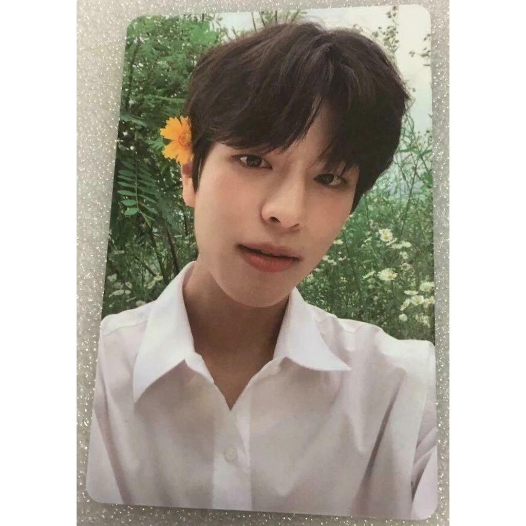 Stray Kids NOEASY ALBUM OFFICIAL PHOTO CARD