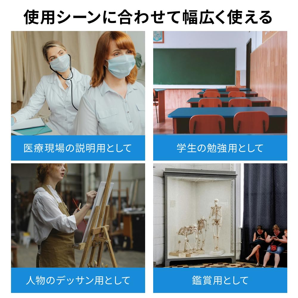 Bonarca Human Body Model, Bones [Half Size: 85cm] Full-Body Skeleton Figure [Movable JointsStand Included] Mini Toy, Large Figurine, Skeletal