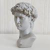 Nordic Resin Bust: David, Venus, Apollo Colored Statue Ornament