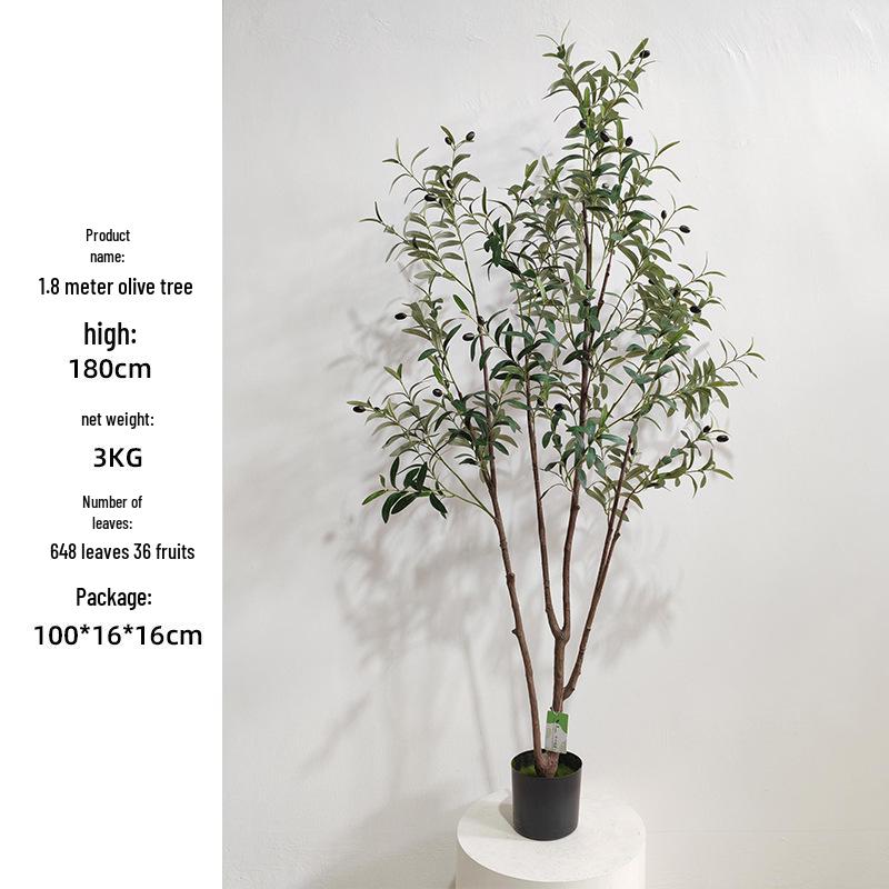 Olive Tree Potted Plant - Indoor Decor Simulation for Living Room
