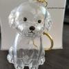 Dog Shape Pet Hair Storage Box Transparent Diy Handmade Pet Hair Keychain Backpack Decor Accessories Souvenir Collection Gift