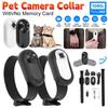 Câmera de Coleira Sem Fio para Cão Gato Câmera de Coleira para Animais de Estimação ao Ar Livre Com Tela Gravação de Vídeo 1080P Coleira Rastreadora para Cães Produtos para Cães de Estimação
