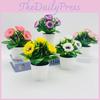 Artificial Peony Mini Potted Flowers For Indoor Home Styling Photography Session
