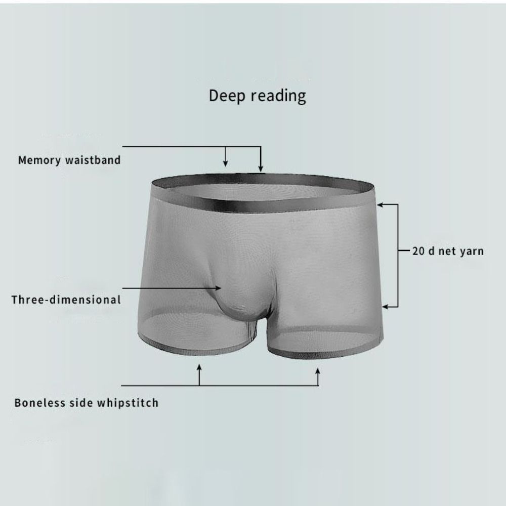 Sexy Briefs Transparent Boxers Low-waist Gauze Male Panties Fashion Men's Underwear