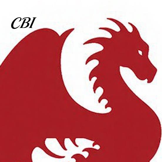 Metal Mailbox Sign Flag Replacement, Decorative Dragon Stake Sign, Mounting Holes Winged Shape Ornament for Outdoor Mail Box Decoration Holder