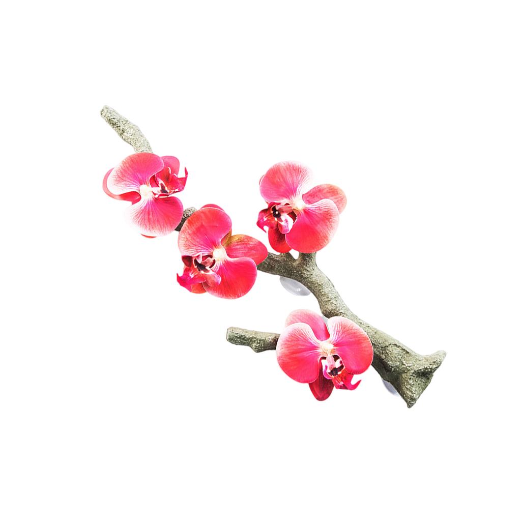 Dekoracja Reptiliów Roślina do Terrarium Kącik Roślin Gałąź do Wspinaczki Przyssawka Akwarium Sztuczne Pnącze dla Węża Agama Brodata