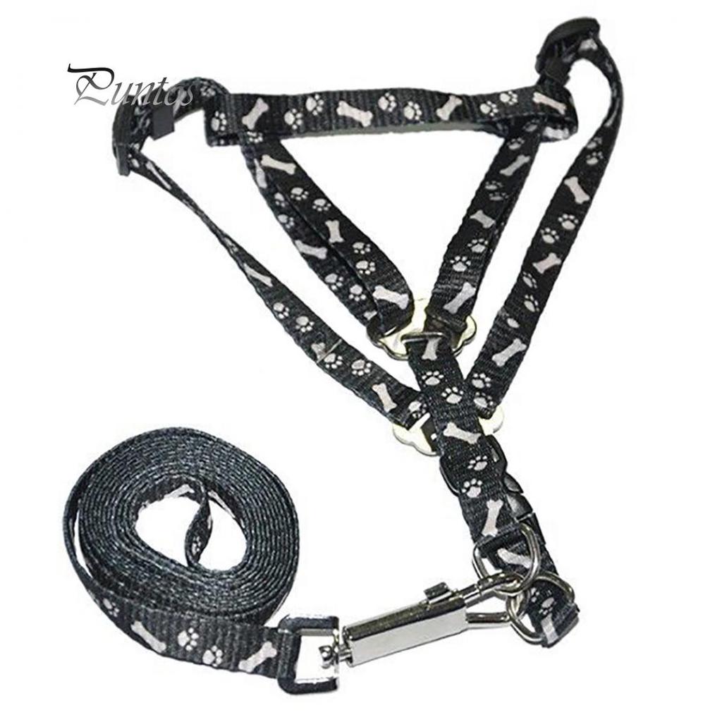 Postrojový golier Leash Bones Paws Trakčné lano