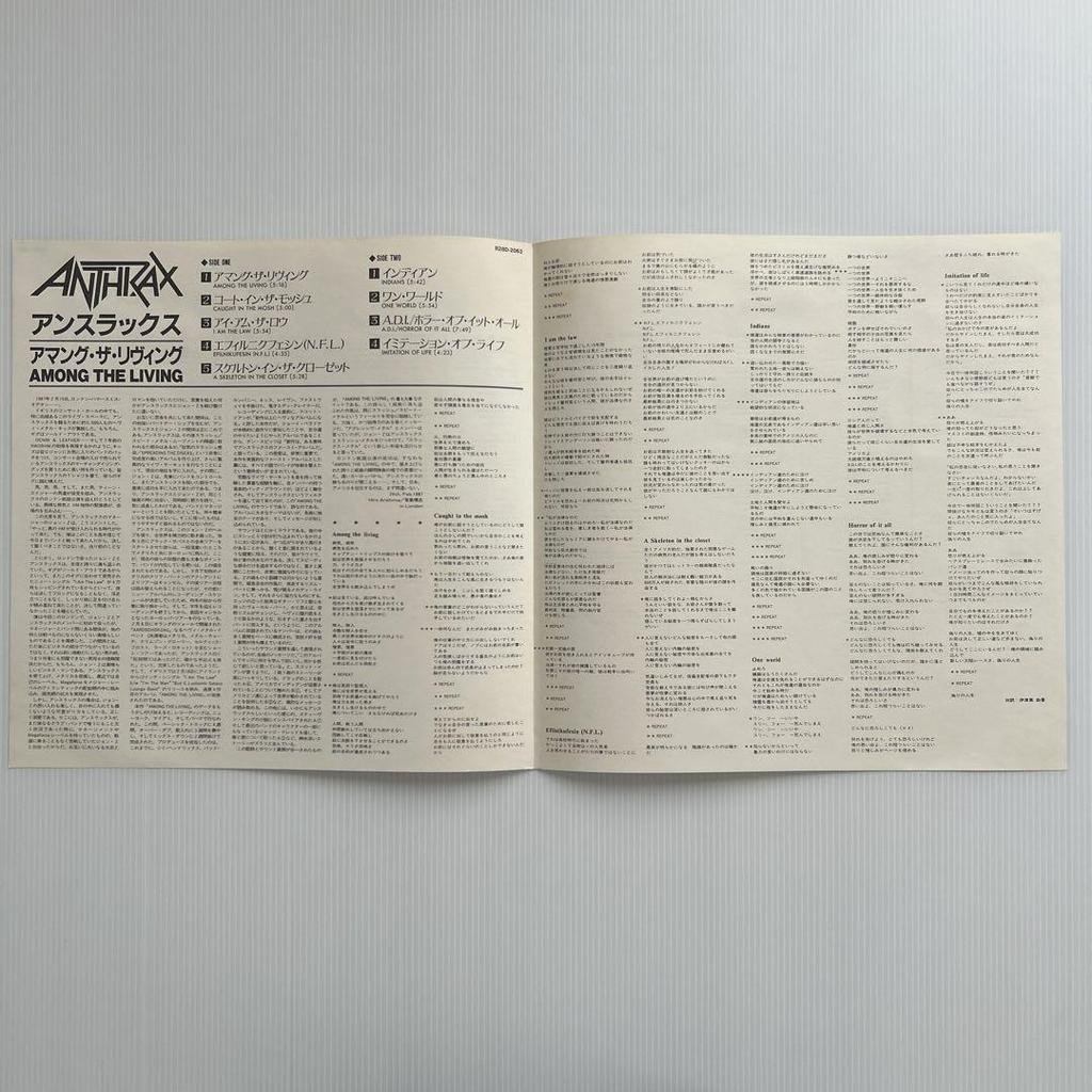 [USED] Anthrax "AMONG THE LIVING" Beautiful LP record