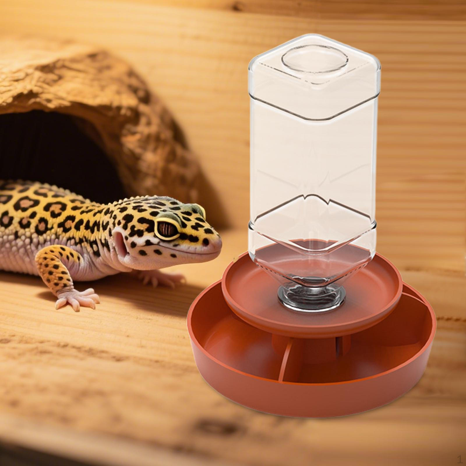 

Аксессуары для аквариума для рептилий Миска для воды и кормушка Лягушки