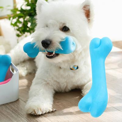 Cães – Brinquedos para cães