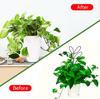 Indoor Plant Trellis Metal Plant Trelli For Climbing Vines Ivy Flower Durable Climbing Plant Support Frame Gardening Accessories