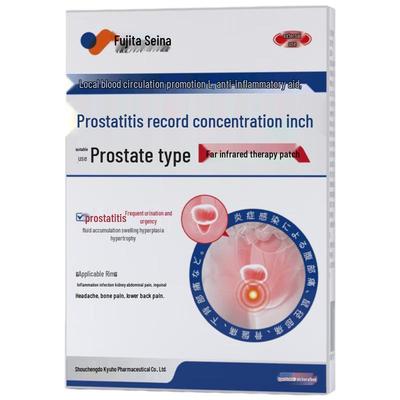 Fujita Pharmaceutical Therapeutische Pflaster