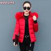 New Short Cotton-padded Jacket Women's Winter Coat Padded Jacket Slim-fit Thickened Big Fur Collar Padded Jacket