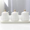 Creative Kitchen Ceramic Seasoning Jar Three-piece Seasoning Jar Seasoning Box Combination Salt Jar Chili Oil Cans Household