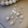 S925 Silver Needle Long Imitation Pearl Tassel Earrings Temperament Net Red High-end Temperament Earrings Jewelry Oorbellen