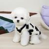 Cartoon Bear Dog Clothes Thickened Winter Dog Jacket Cute Pet Coat  For Small Medium Dog