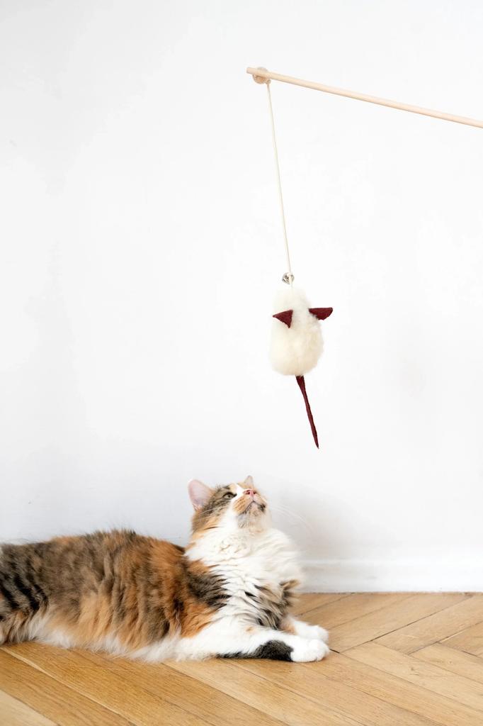 Natural Woolen Cat Toy: Mouse String