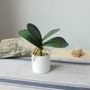 PU Phalaenopsis Orchid Leaves for Wedding and Home Decor - Realistic Fake Green Plants In Potted Flower Arrangement