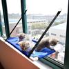 Hanging Cat Sleeping Bed Nesk Breathable Bearing 10kg Cozy Rest Window Hammock