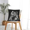Star D-De Britneys-Spears Singer Pillow Case Graphic Pillow Cover Vintage Pillowcases For Living Room Sofa
