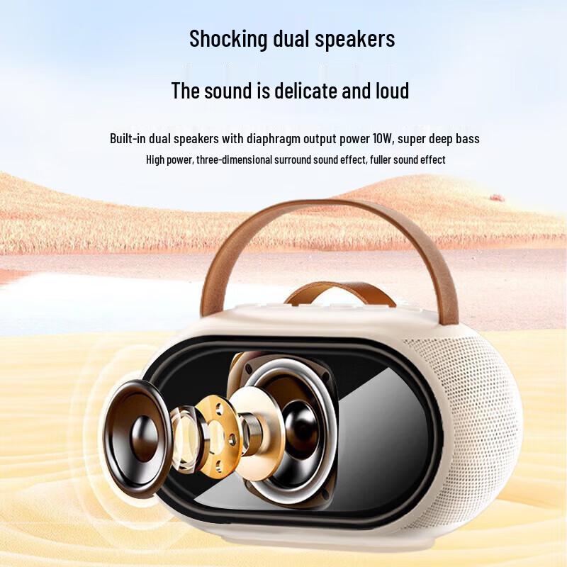 WOPOW KTV Bluetooth Speaker with Microphone