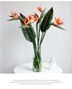 Large Artificial Rubber Bird of Paradise Flower for Home Decor & Wedding Photography