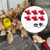 Horizontal Chicken Waterer with for Goose Chick Coop Ducks
