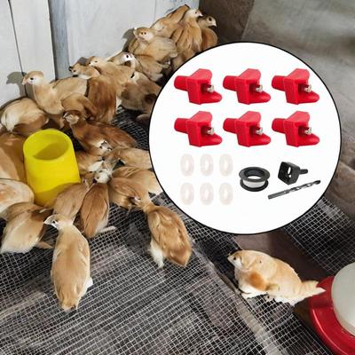 Horizontal Chicken Waterer with for Goose Chick Coop Ducks