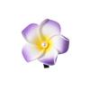 Pearl Flower Hair Clip Plumeria Flowers Side Bangs Clip Beach Claw Clips Headpiece For Women Hawaiian Barrettes Accessories