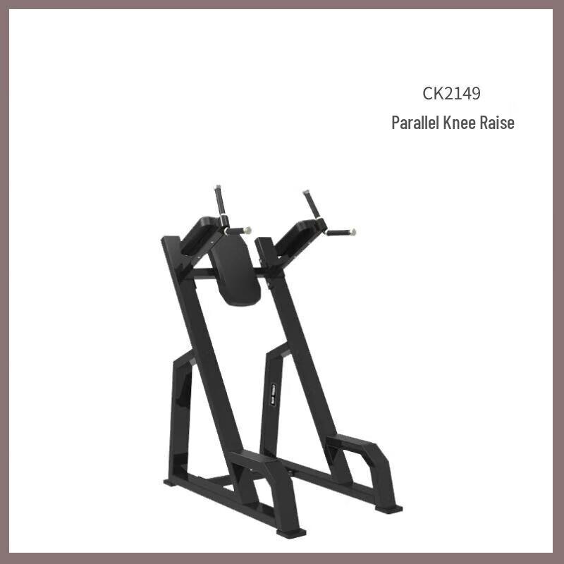 Double Bar Leg Raise Abdominal Trainer