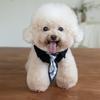 Spring and Autumn Pet Vest Cute Scarf Base Shirt Pet Teddy Solid Color Coat Puppy Clothes Dog Clothes for Small Dogs 2XS - 3XL
