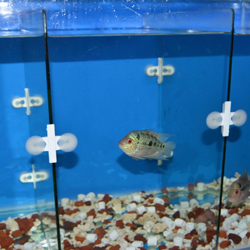 5Pcs Aquarium Fish Tank Partition Clip Glass Suction Cup Clip Separation Clip Plastic Clip Head