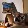 Cute Shiba Inu Meme Emoticons Pillow Case Double-Sided Printing Short Plush Sofa Cushion Cover Bedroom Bedside Pillow