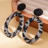 Maillard Retro Leopard Print Geometric Round Earrings Light Luxury High-end Stud Earrings Autumn and Winter Niche Temperament Earrings