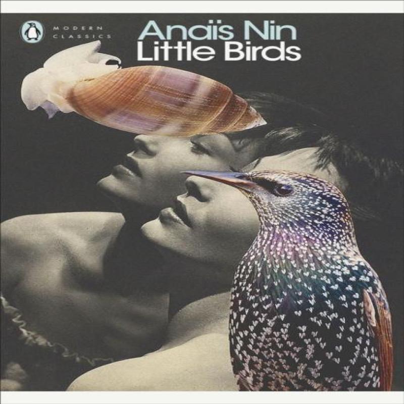 Little Birds by Anais Nin Paperback Book 9780141183404