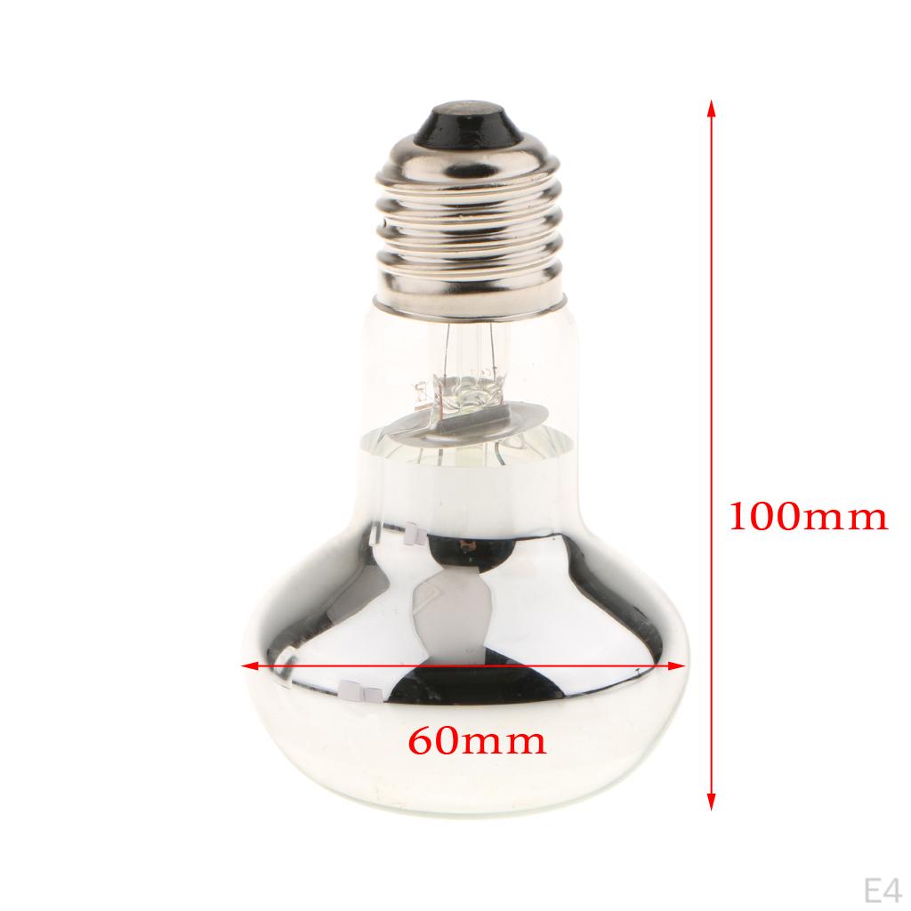 Reptile Vivarium Heating Light Brooder Lamp Bulb Nightlight E27,