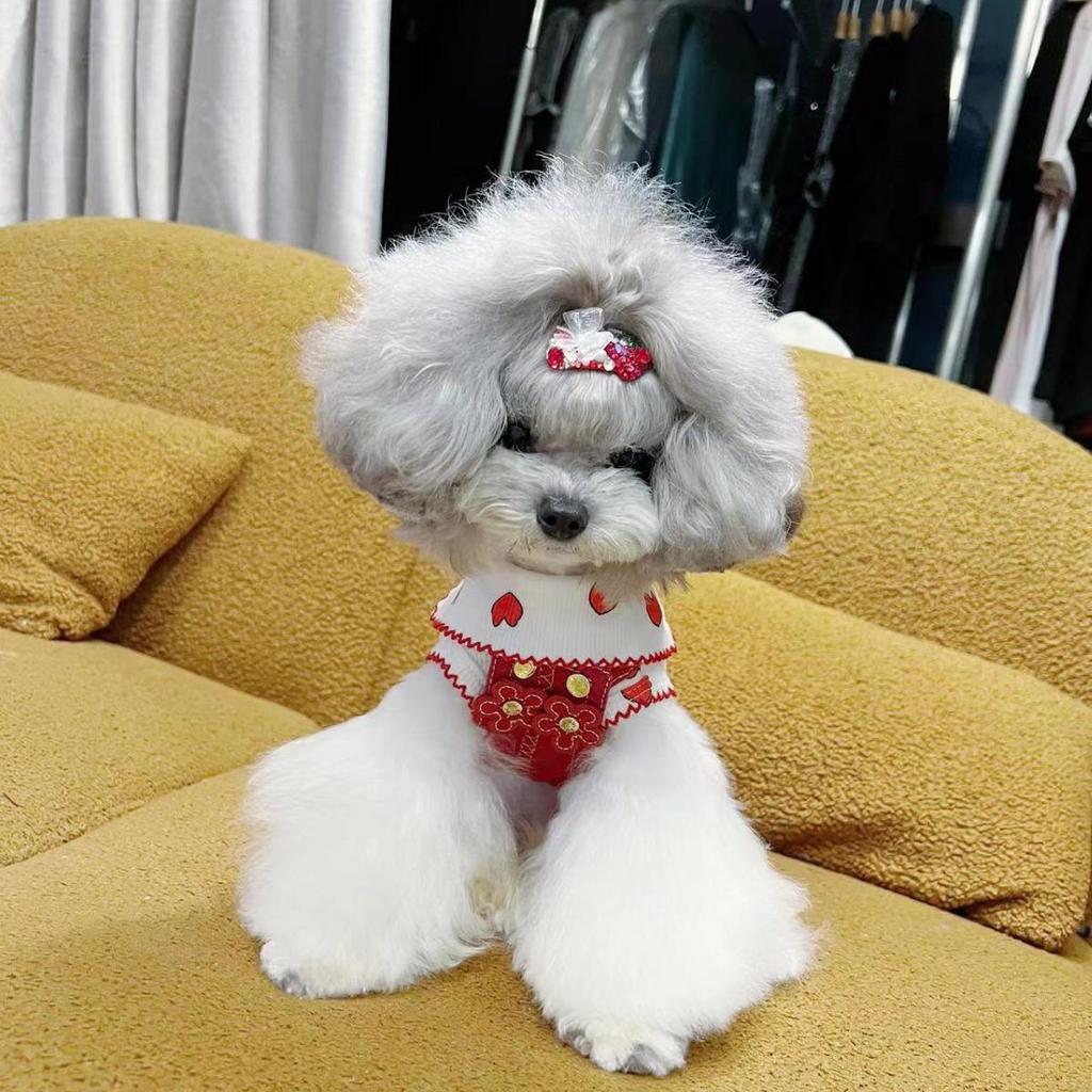 Tangqi Koszulka dla zwierząt domowych kotów i psów z kreskówkowym sercem i kołnierzykiem typu turn-down, styl japoński i koreański, lycra bawełna.