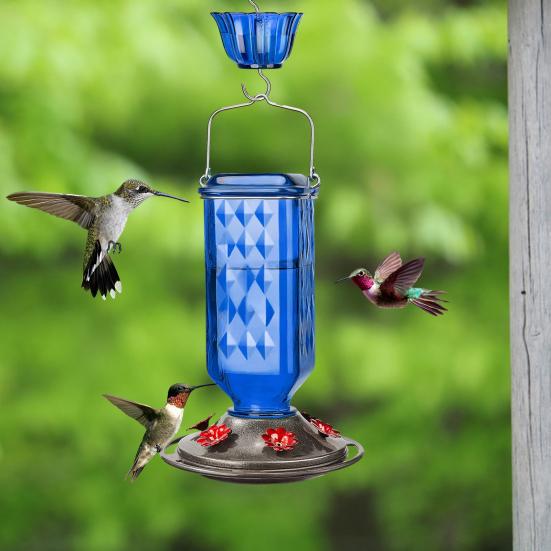 Mangiatoia per Colibrì Mangiatoia per Uccelli Sospesa con Fossato Formiche Mangiatoia per Colibrì da Esterno con 6 Fori di Alimentazione per Decorazione Giardino Cortile