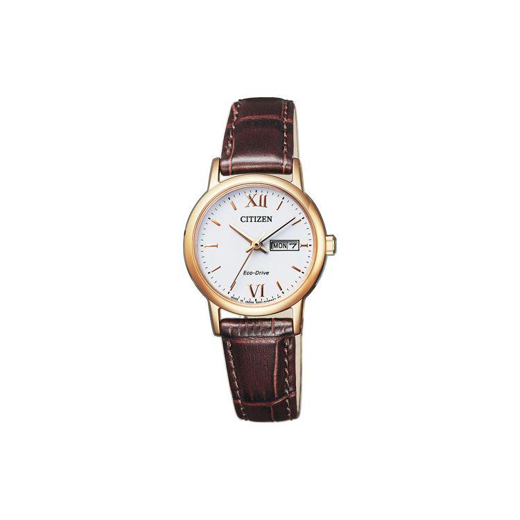 Citizen Eco-Drive Series Casual Genuine Leather